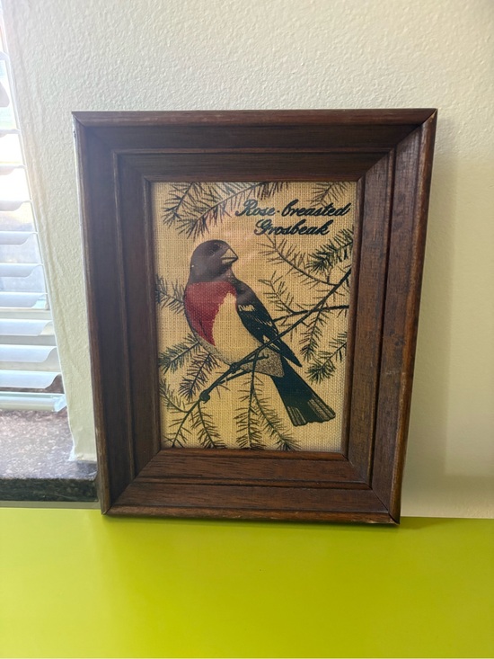 Other - Vintage Kay Dee Rose-Breasted Grosbeck Fabric Wall Art